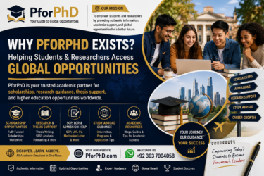 Why PforPhD Exists